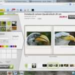 Fotobuch New York Vorlagen Erstaunlich Fotobuch Online Test Und Vergleich Fotoentwicklung