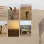 Fotobuch Vorlagen Ideen Erstaunlich Ein Fotobuch Gestalten Ein Tutorial In 12 Kapiteln