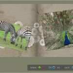 Fotobuch Vorlagen Photoshop Gut Mit Shop Elements Ein Fotobuch Erstellen
