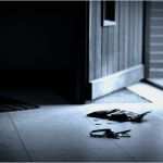 Fotografie Konzept Vorlage Gut Konzeptfotos Fotografieren Mit Konzept