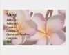 Fotografie Visitenkarten Vorlage Fabelhaft Plumeria Blumen Geschäfts Karte Visitenkarten Vorlage
