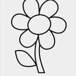 Fotokalender Basteln Vorlagen Bewundernswert Pin Von Simone Weyer Auf Ausmalbilder