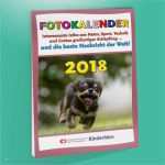 Fotokalender Vorlage 2018 Cool Kinder Fotokalender 2018