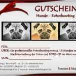 Fotoshooting Gutschein Vorlage Erstaunlich Hunde – Fotoshooting – Gutschein – Blog