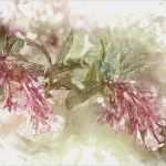 Fototapete Eigene Vorlage Inspiration Tapezieren Noch In Oder Schon Out