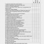 Fragebogen Auswerten Excel Mehrfachantworten Vorlage Wunderbar Charmant übung Fragebogen Vorlage Galerie Beispiel