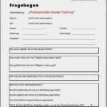 Fragebogen Beispiel Vorlage Luxus 10 Fragebogen Beispiel Vorlage