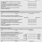 Fragebogen Kundenzufriedenheit Vorlage Word Cool Berühmt Lieferantenfragebogen Vorlage Fotos Beispiel Anschreiben Für Lebenslauf Sammlung