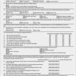 Fragebogen Vorlage Doc Genial Beste Fragebogen Vorlage Wort Doc Bilder