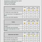 Fragebogen Vorlage Excel Fabelhaft Beste Fragebogen Vorlage Wort Doc Bilder