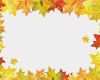 Frames HTML Vorlagen Genial Hojas De Otoño Marco Con Cada Arce — Archivo Imágenes