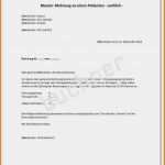 Freiberufler Angebot Vorlage Süß 18 Vorlage Rechnung Freiberufler Physiotherapie