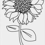 Freie Webseiten Vorlagen Best Of 10 Besten Ausmalbilder Tiere Kostenlos Zum Drucken Bilder