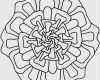 Freie Webseiten Vorlagen Erstaunlich Malvorlage Blume Kinderbilder Download
