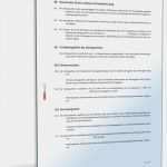 Freier Mitarbeiter Vertrag Vorlage Süß Freier Mitarbeitervertrag Programmierer