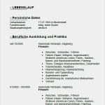 Friseur Homepage Vorlage Einzigartig Lebenslauf Friseurin Vorlage