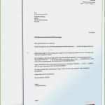 Fristgerechte Kündigung Durch Arbeitnehmer Vorlage Gut 15 Kündigung Während Der Probezeit Muster