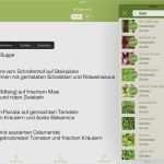 Fristlose Kündigung Unitymedia Vorlage Genial Unitymedia Kündigung Vorlage Umzug Bewundernswert Ziemlich