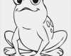 Frosch Vorlage Ausschneiden Gut Pin Von Steff Auf Frosch