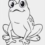 Frosch Vorlage Ausschneiden Gut Pin Von Steff Auf Frosch