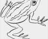 Frosch Vorlage Ausschneiden Schönste 73 Dessins De Coloriage Grenouille à Imprimer Sur