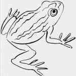 Frosch Vorlage Ausschneiden Schönste 73 Dessins De Coloriage Grenouille à Imprimer Sur
