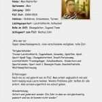 Fsj Bewerbung Vorlage Einzigartig 15 Muster Bewerbung Fsj