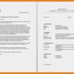 Fsj Bewerbung Vorlage Erstaunlich 13 Fsj Bewerbungsschreiben