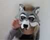 Fuchs Maske Vorlage Wunderbar Groß Waschbär Maske Vorlage Zeitgenössisch
