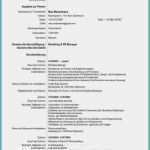 Führerschein Vorlage Beim Arbeitgeber formular Cool Führerschein Vorlage Word Wunderbar 4 Lebenslauf