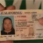 Führerschein Vorlage Pdf Fabelhaft Charmant Indiana Führerschein Vorlage Zeitgenössisch