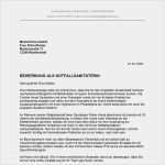 Führerschein Vorlage Pdf Wunderbar Berühmt Führerschein Vorlage Galerie