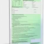 Führerschein Vorlage Zum Ausfüllen Best Of Antrag Erteilung Fahrerlaubnis