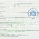 Führerschein Vorlage Zum Ausfüllen Elegant Führerschein Seite 7 Zum thema Autofahren Auf