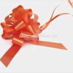 Führerschein Vorlage Zum Ausfüllen Erstaunlich Geldgeschenk Führerschein Finanzspritze Geschenk