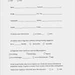 Führungszeugnis Vorlage Arbeitgeber Wunderbar Informationen Und formulare Für Zukünftige