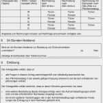 Führungszeugnis Vorlage Behörde Cool Anhang 1 formblatt Antragsformular Zum Bundeseinheitlichen