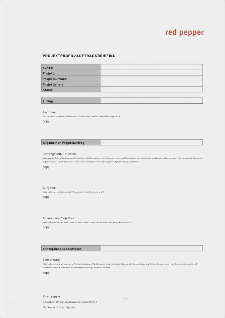 Function Sheet Tagung Vorlage Elegant Briefingvorlage Pdf ...