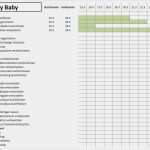 Funktions Und Risikoanalyse Vorlage Best Of Wie Du Leicht Einen Projektstrukturplan Psp Erstellt