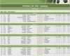 Fußball Aufstellung Vorlage Angenehm Fußball Aufstellung Vorlage Excel Wunderbar Microsoft