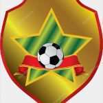 Fußball Logo Vorlage Luxus Fußball Wappen Vorlage — Stockvektor