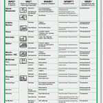 Fußpflege Flyer Vorlagen Genial Hygieneplan Für therapiepraxen Qualitätsmanagement