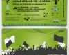 Fussball Ticket Gutschein Vorlage Erstaunlich 192 Best Geburtstagseinladungen Images On Pinterest