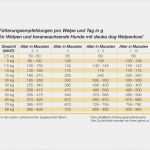 Futterplan Pferd Vorlage Angenehm Deutsche Tiernahrung Cremer Gmbh & Co Kg Material