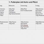 Futterplan Pferd Vorlage Einzigartig Meinung Zum Futterplan Barf Und Frischfütterung
