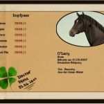 Futterplan Pferd Vorlage Erstaunlich Die Pferdeklinik Vom Grünen Kleeblatt