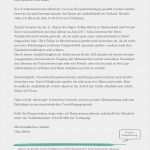 Gamestop Bewerbung Vorlage Erstaunlich Lebenslauf Line Bewerbung