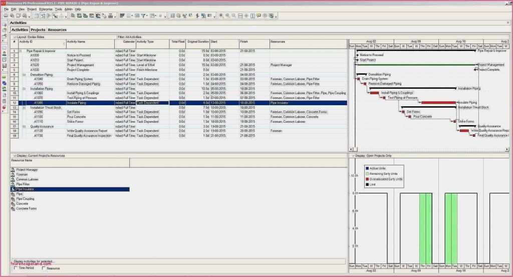 Gantt Diagramm Visio Vorlage Schönste Gantt Chart for Hospital Management System