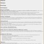 Garagen Mietvertrag Vorlage Kostenlos Bewundernswert 19 Muster Mietvertrag Vorlagen123 Vorlagen123