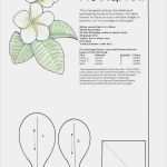 Gästebaum Hochzeit Vorlage Wunderbar 196 Besten Blumen Vorlagen Bilder Auf Pinterest